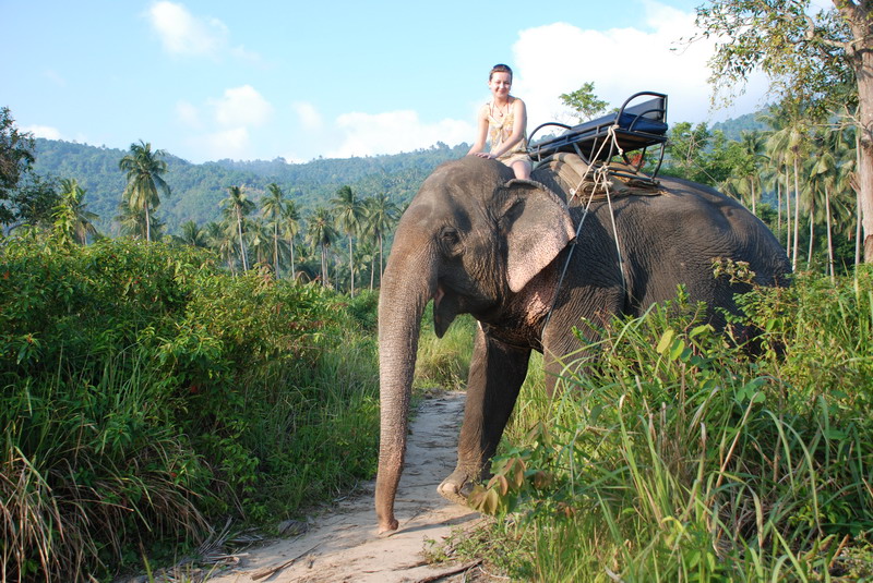Самуи, Ко Тао - самостоятельное путешествие (янв. 2009)