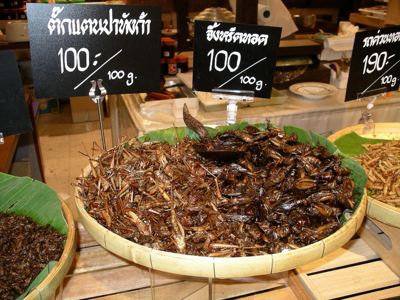 СПб-БКК-Ко Тао–Ко Самуи. Март 2009 (3ч.Ко Самуи-много фото)