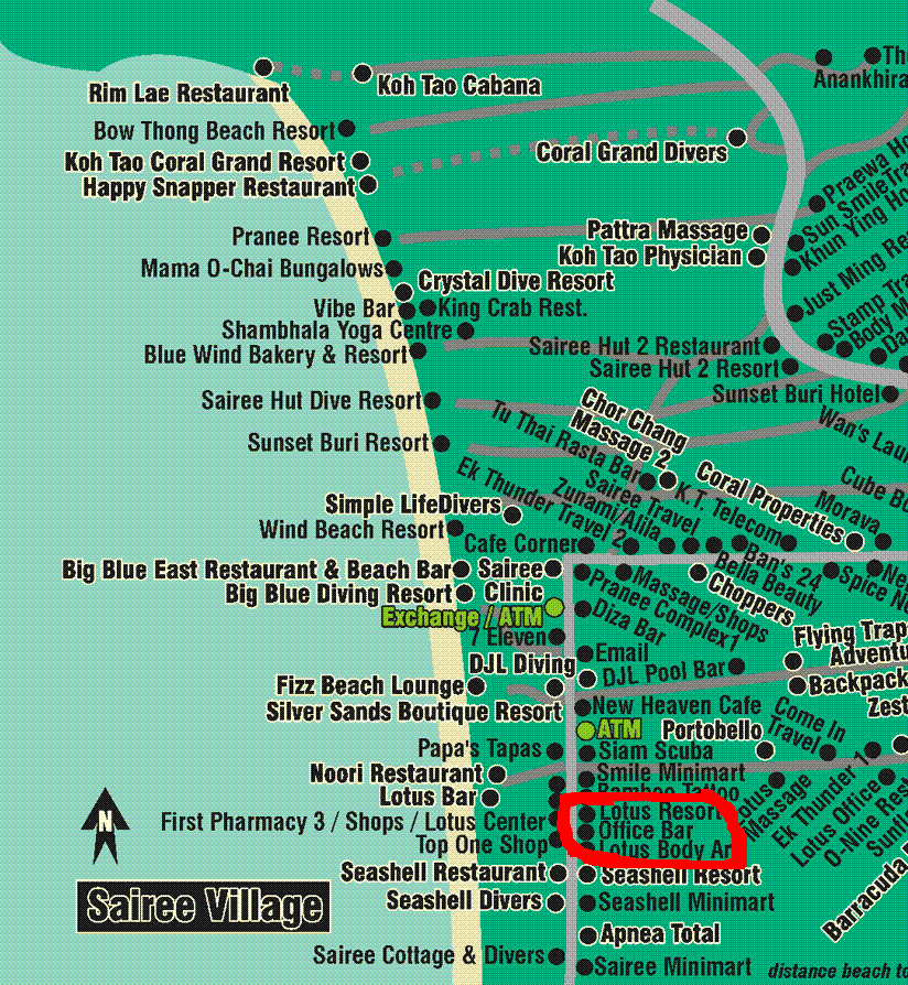 СаТаХуаБа (июль 2011) - every day we’re shuffling (: