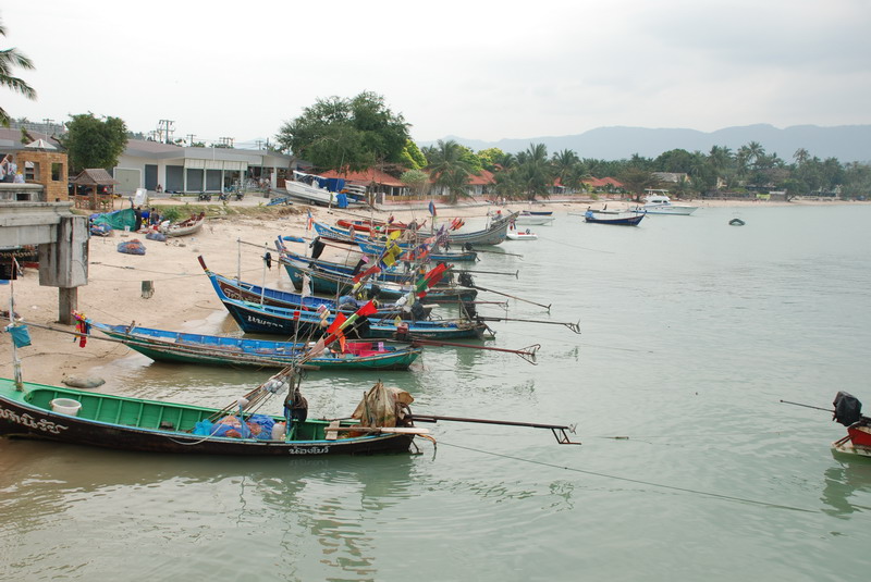 Самуи, Ко Тао - самостоятельное путешествие (янв. 2009)