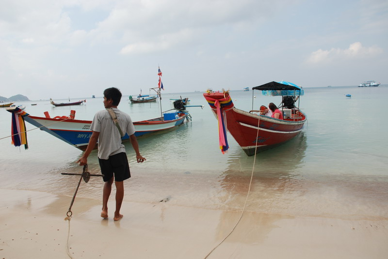 Самуи, Ко Тао - самостоятельное путешествие (янв. 2009)