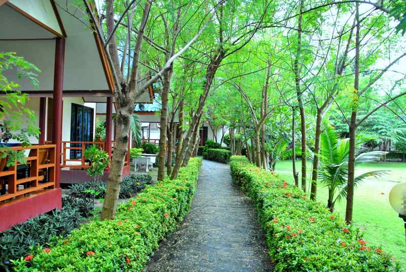 Пукет_Пи-Пи июль 2011 (фото)