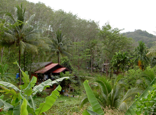 Бангкок – Камбоджа – Куала-Лумпур – Пукет (декабрь 2007)