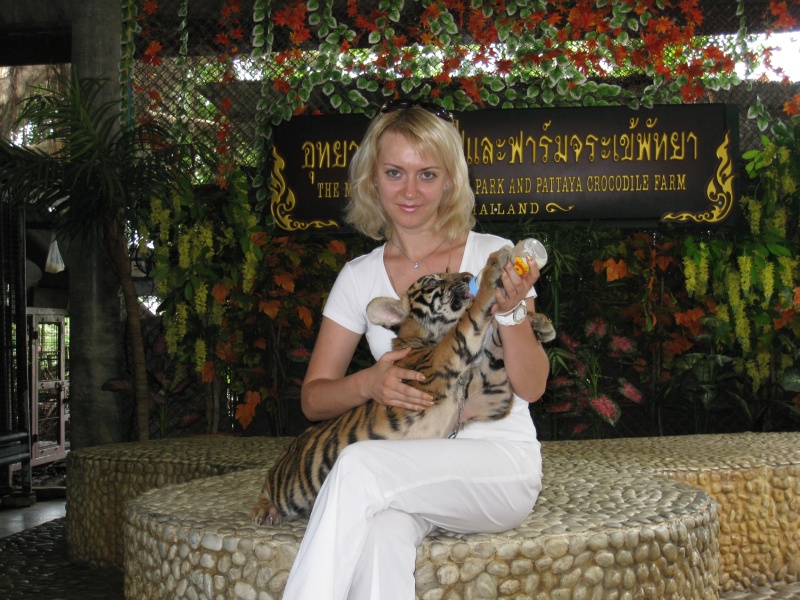 ПТТ -- Ко-Чанг -- БКК [апрель-май 2009]