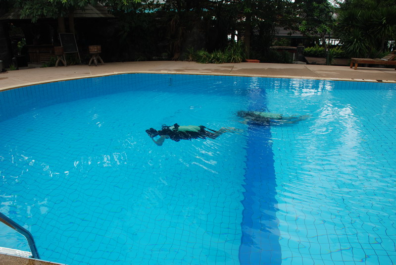 Самуи, Ко Тао - самостоятельное путешествие (янв. 2009)