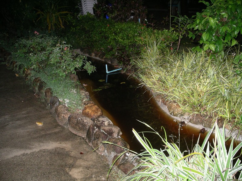 СПб-БКК-Ко Тао–Ко Самуи. Март 2009 (3ч.Ко Самуи-много фото)