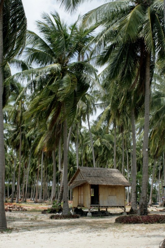 Бангкок-Краби-Самуи 18.02.2009.-06.03.2009