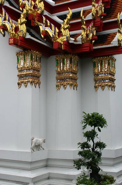 Самуи и немного Бангкока, май 2011 - фотоотчет (закончен)