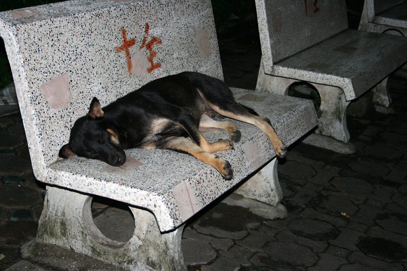 Самуи и немного Бангкока, май 2011 - фотоотчет (закончен)