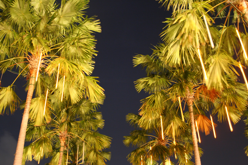 Самуи и немного Бангкока, май 2011 - фотоотчет (закончен)