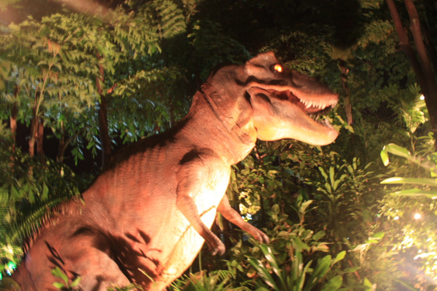 Путевые заметки: Пукет-Краби-Пи Пи Дон