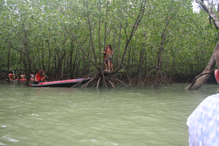 Путевые заметки: Пукет-Краби-Пи Пи Дон