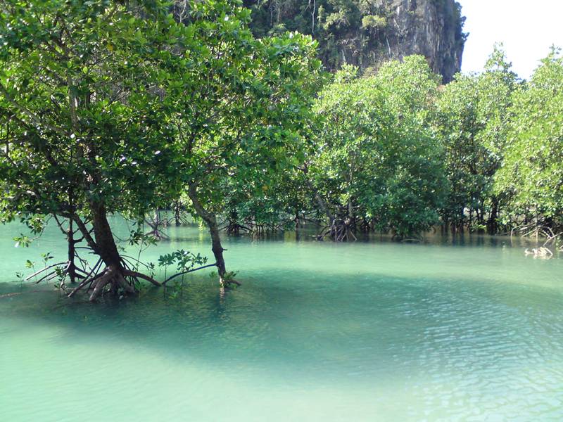 ПТТ-Чанг-БКК (+ немного фото из прошлых поездок)