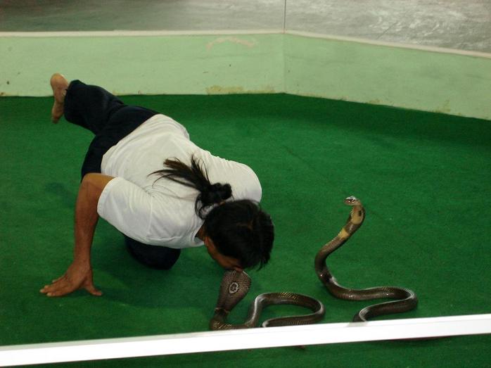 Путешествие в сказочное королевство Сиам. 40 фото