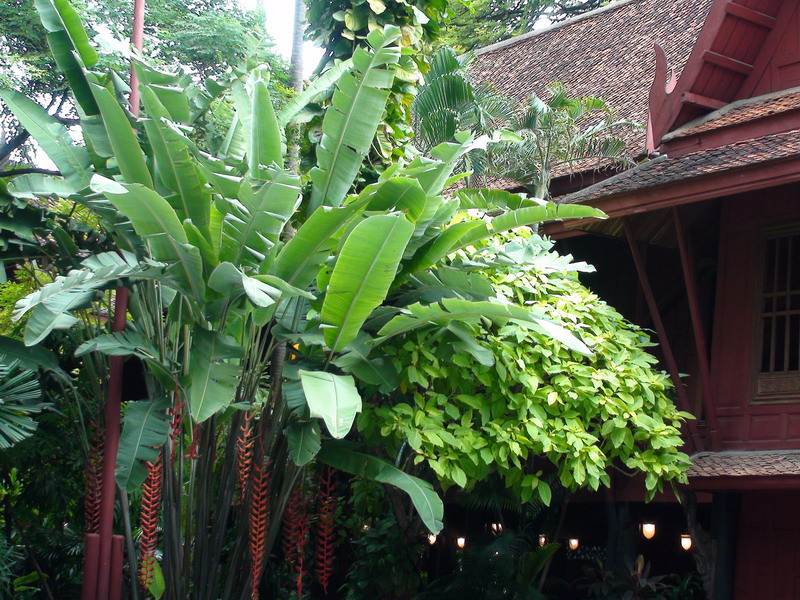 Отчет СПб-Бангкок-Ко Куд-Бангкок-СПб (07.10.09-24.10.09)