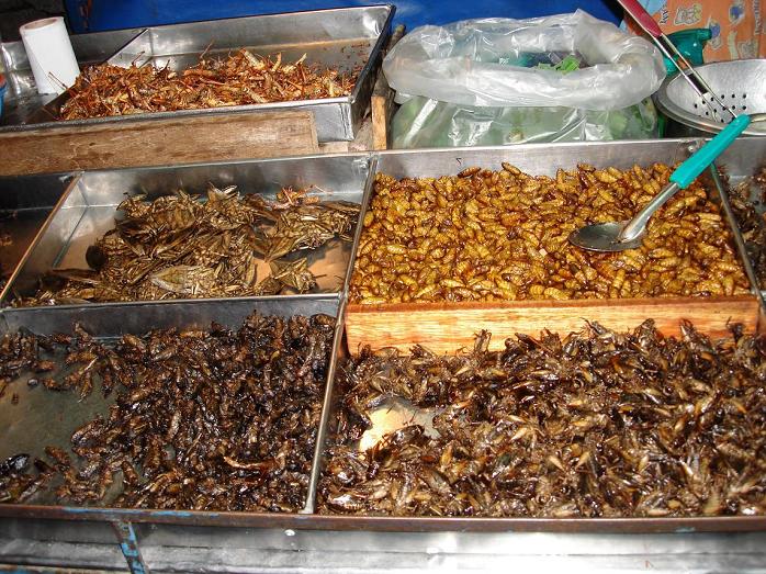 Путешествие в сказочное королевство Сиам. 40 фото