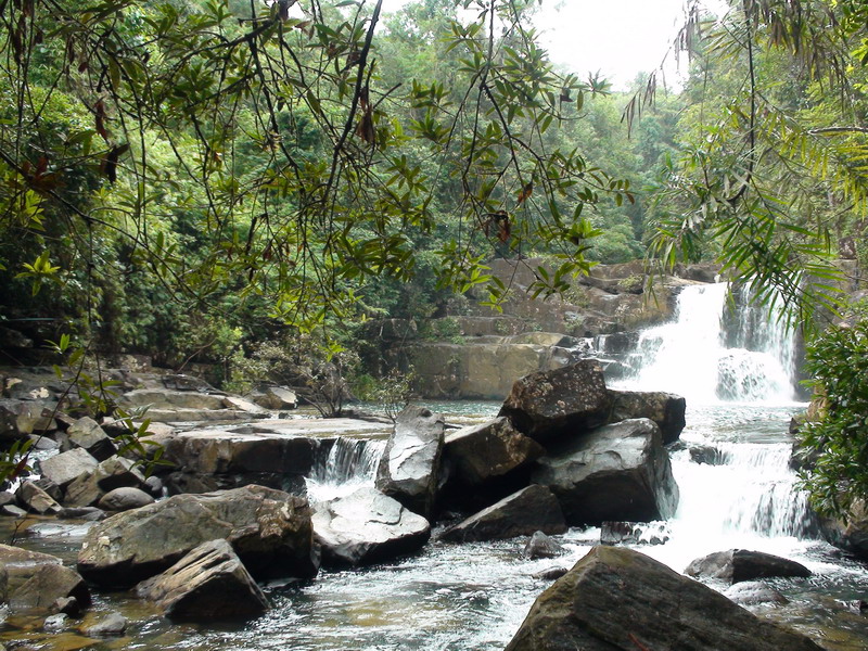 Отчет СПб-Бангкок-Ко Куд-Бангкок-СПб (07.10.09-24.10.09)