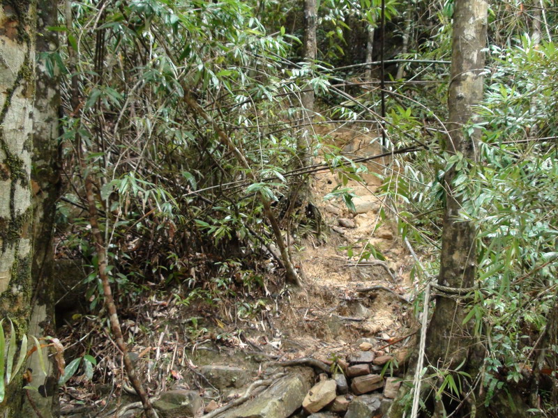 Отчет СПб-Бангкок-Ко Куд-Бангкок-СПб (07.10.09-24.10.09)