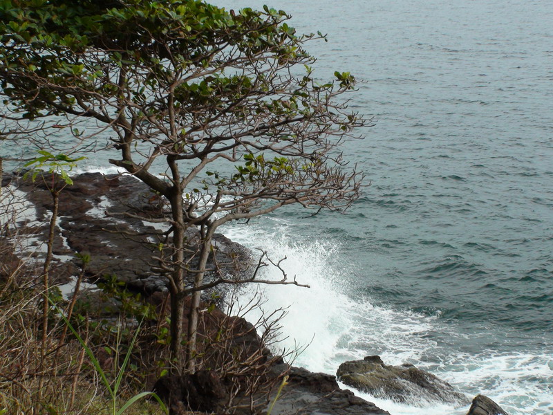 Отчет СПб-Бангкок-Ко Куд-Бангкок-СПб (07.10.09-24.10.09)