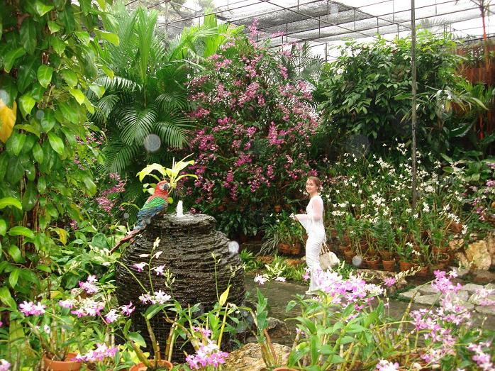 Путешествие в сказочное королевство Сиам. 40 фото