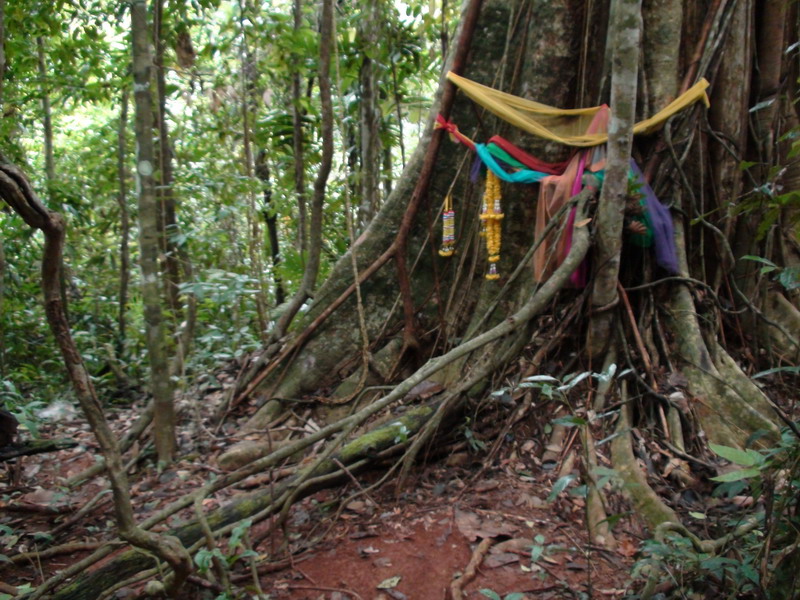 Отчет СПб-Бангкок-Ко Куд-Бангкок-СПб (07.10.09-24.10.09)