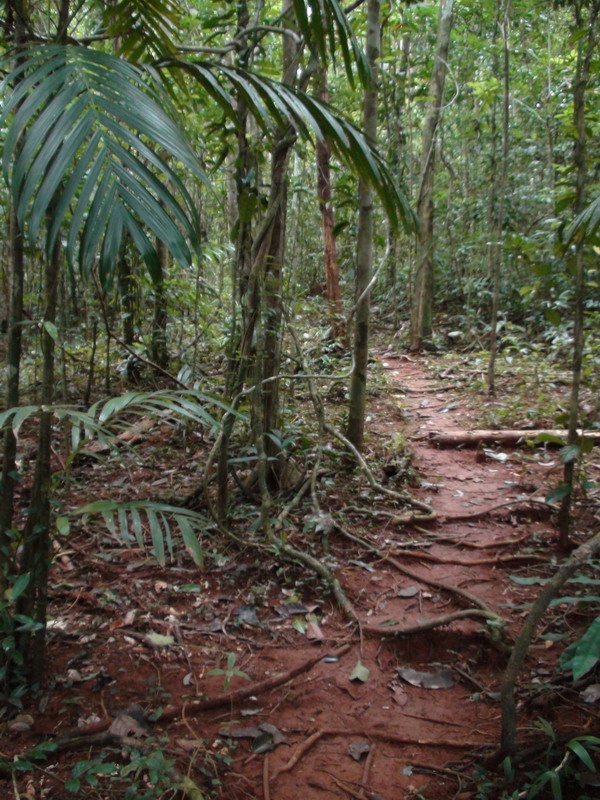 Отчет СПб-Бангкок-Ко Куд-Бангкок-СПб (07.10.09-24.10.09)