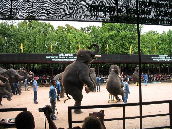 Путешествие в сказочное королевство Сиам. 40 фото