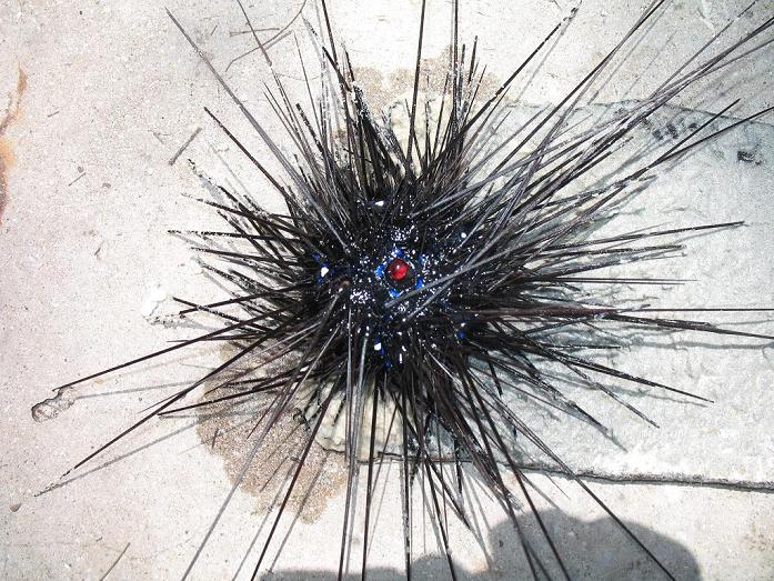 Путешествие в сказочное королевство Сиам. 40 фото