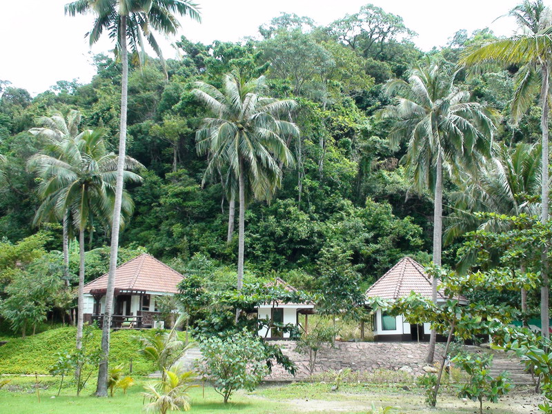 Отчет СПб-Бангкок-Ко Куд-Бангкок-СПб (07.10.09-24.10.09)