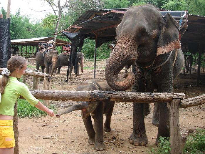 Путешествие в сказочное королевство Сиам. 40 фото