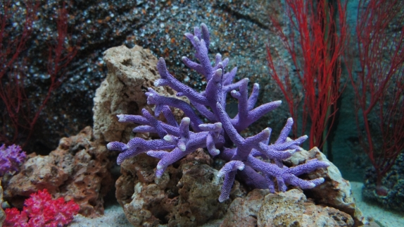 Бангкок - Самуи июль 2011