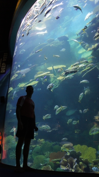 Бангкок - Самуи июль 2011