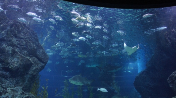 Бангкок - Самуи июль 2011