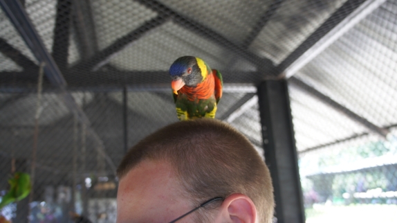 Бангкок - Самуи июль 2011