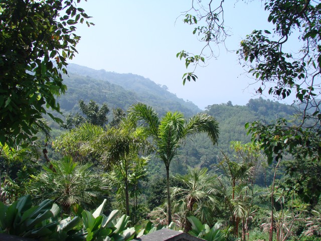 Бангкок- Пхукет- Бангкок ноябрь 2007.