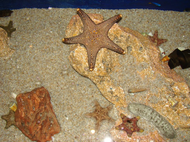 Бангкок- Пхукет- Бангкок ноябрь 2007.