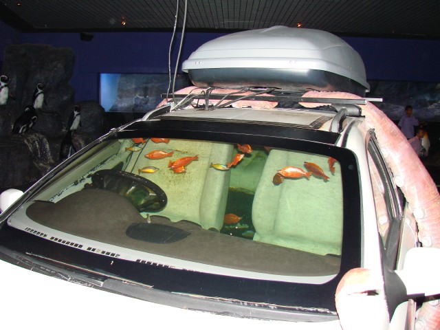 Бангкок- Пхукет- Бангкок ноябрь 2007.