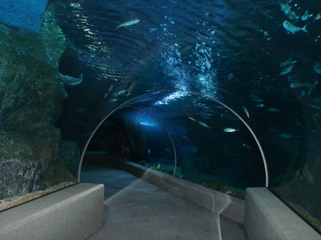 Бангкок- Пхукет- Бангкок ноябрь 2007.