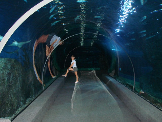 Бангкок- Пхукет- Бангкок ноябрь 2007.