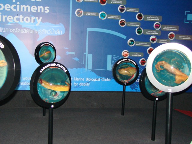 Бангкок- Пхукет- Бангкок ноябрь 2007.