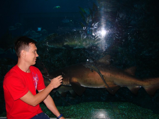 Бангкок- Пхукет- Бангкок ноябрь 2007.