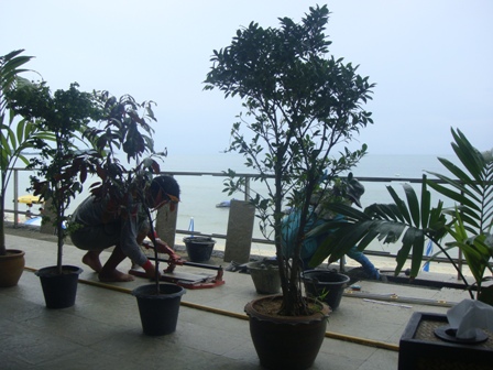Koh Samui: Chaweng Cove Beach Resort (Chaweng Cove Resotel)