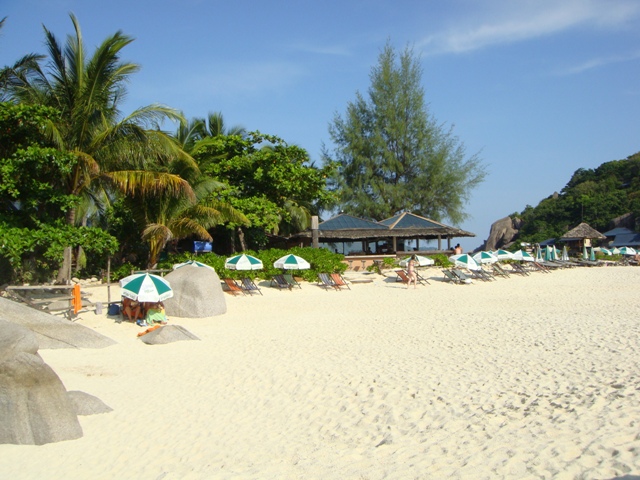 СаТаХуаБа (июль 2011) - every day we’re shuffling (: