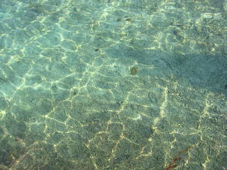 СаТаХуаБа (июль 2011) - every day we’re shuffling (: