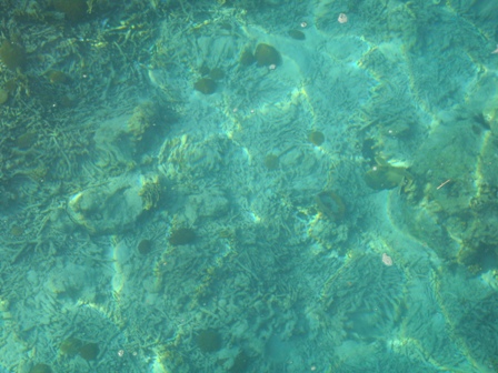 СаТаХуаБа (июль 2011) - every day we’re shuffling (: