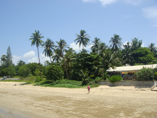 СаТаХуаБа (июль 2011) - every day we’re shuffling (: