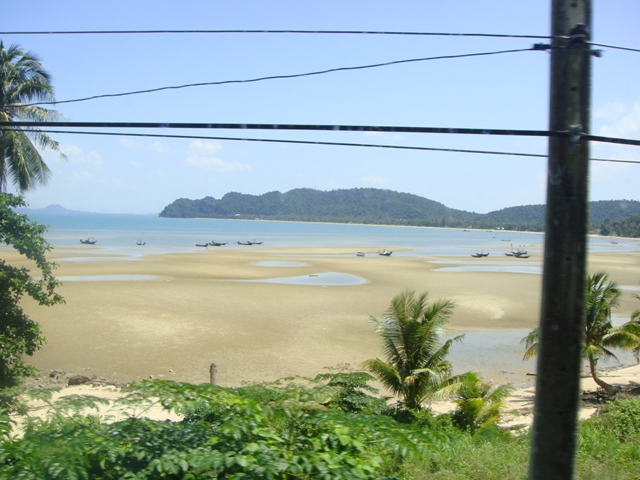 СаТаХуаБа (июль 2011) - every day we’re shuffling (: