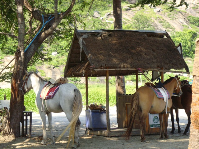 СаТаХуаБа (июль 2011) - every day we’re shuffling (: