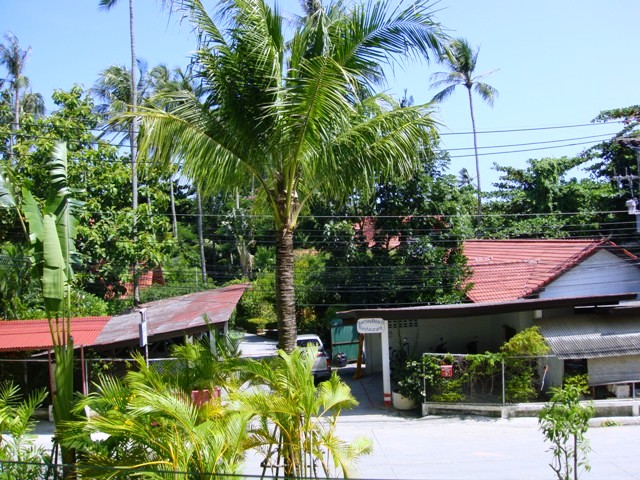 СаТаХуаБа (июль 2011) - every day we’re shuffling (: