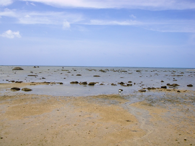 СаТаХуаБа (июль 2011) - every day we’re shuffling (: